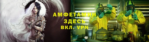 мяу мяу мука Аркадак