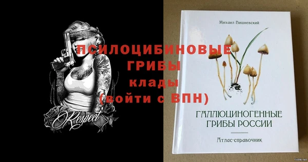 спиды Арсеньев