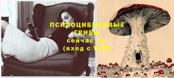 мяу мяу мука Аркадак