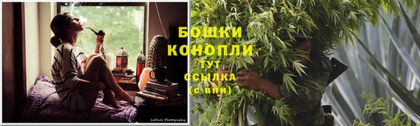 бошки Алексин