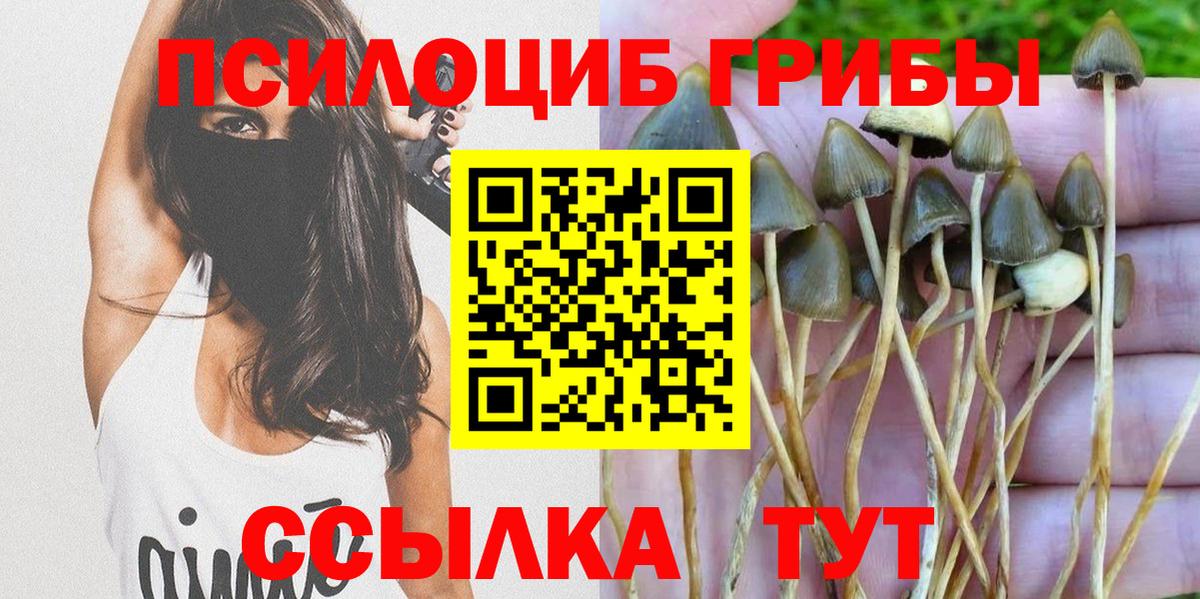 Галлюциногенные грибы GOLDEN TEACHER Волхов