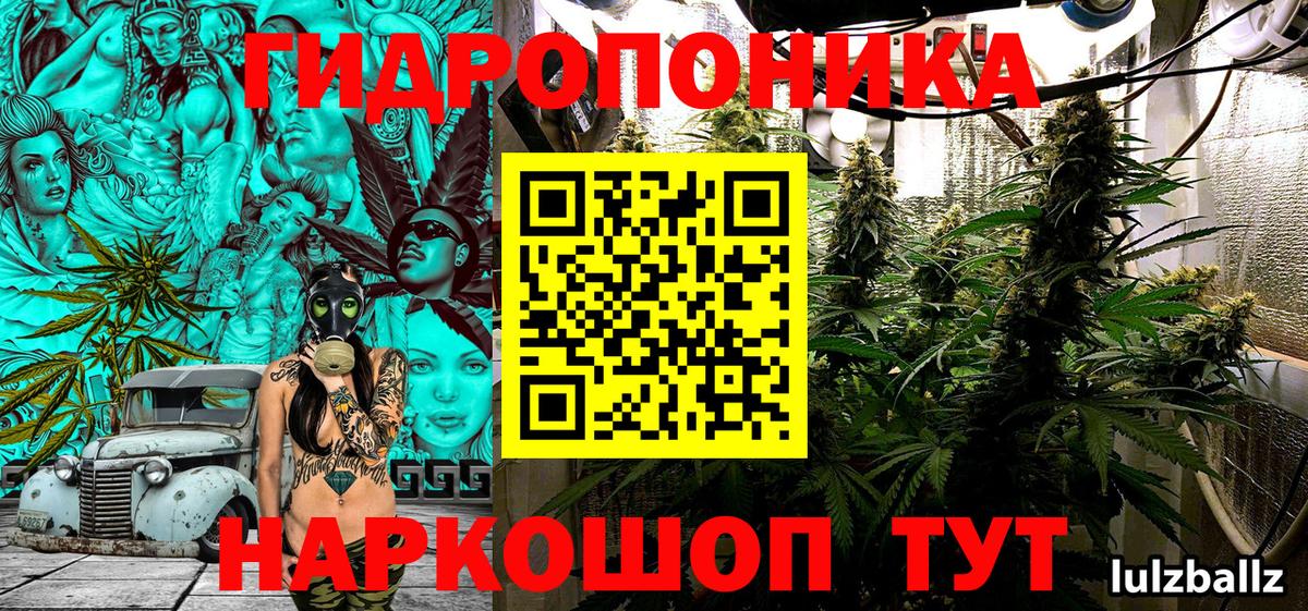 Бошки марихуана LSD WEED  Вход с VPN  Канабис индика  Волхов  Шишки марихуана White Widow  Бошки марихуана MAZAR 